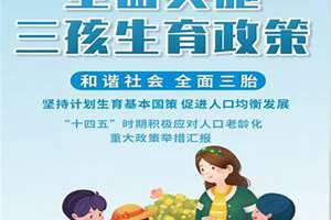 计划生育政策调整对人口数量、结构及其影响的研究(计划生育政策调整)