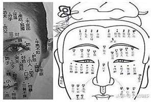 理科生面相(理科女面相)