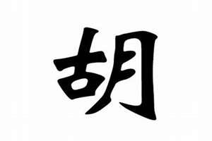 胡起名字男孩女孩通用(胡起名字)