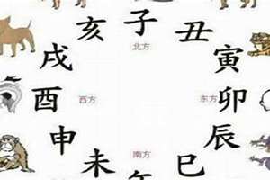 十二生肖3合6合对照图(虎的三合生肖是什么)