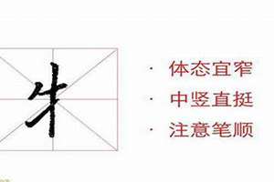 牛字旁的字有哪些字一年级(牛字旁的字有哪些字)