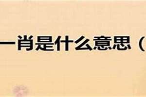 自命不凡八字歪打一肖是什么?(自命不凡八字歪打一肖)