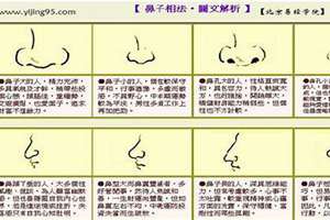 看面相鼻子肉厚好吗?(看面相鼻子)