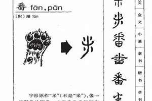 番字起名好不好(番字起名)