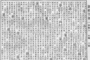 菟起名两个字(菟起名)