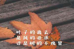 秋天起名字寓意好的(秋天起名字)