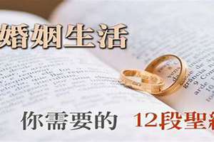 被神祝福的婚姻是什么(被神祝福的婚姻)