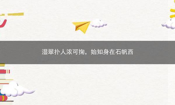 湿翠扑人浓可掬，始知身在石帆西