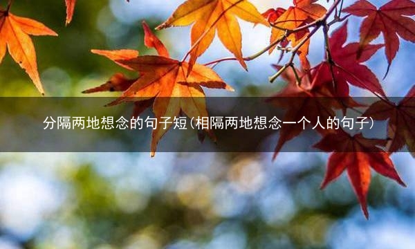 分隔两地想念的句子短(相隔两地想念一个人的句子)