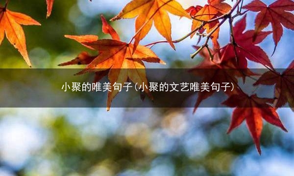 小聚的唯美句子(小聚的文艺唯美句子)