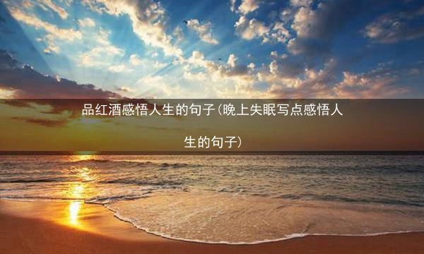 品红酒感悟人生的句子(晚上失眠写点感悟人生的句子)