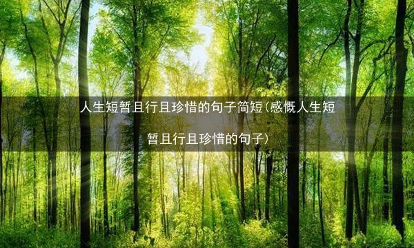 人生短暂且行且珍惜的句子简短(感慨人生短暂且行且珍惜的句子)