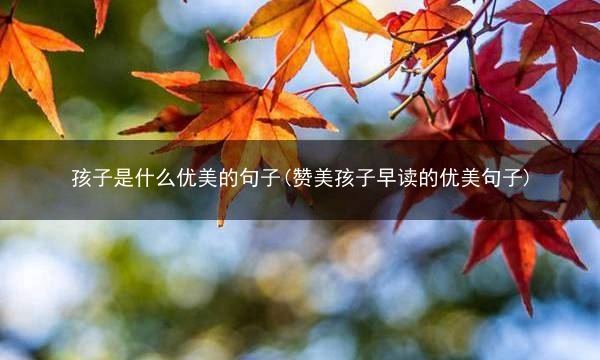 孩子是什么优美的句子(赞美孩子早读的优美句子)